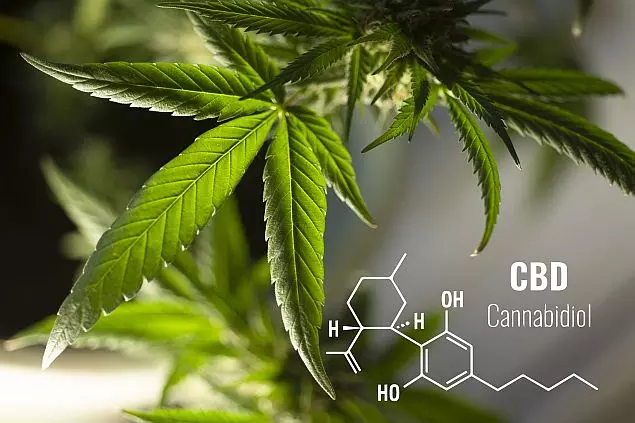 CBD produkt